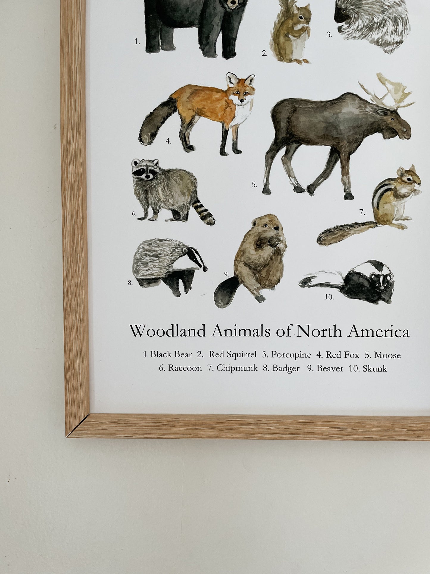 Animal's of North America Poster | Homeschool Print | Nature Study | Woodland Nursery Decor | nature print | Woodland Animal Nature Art