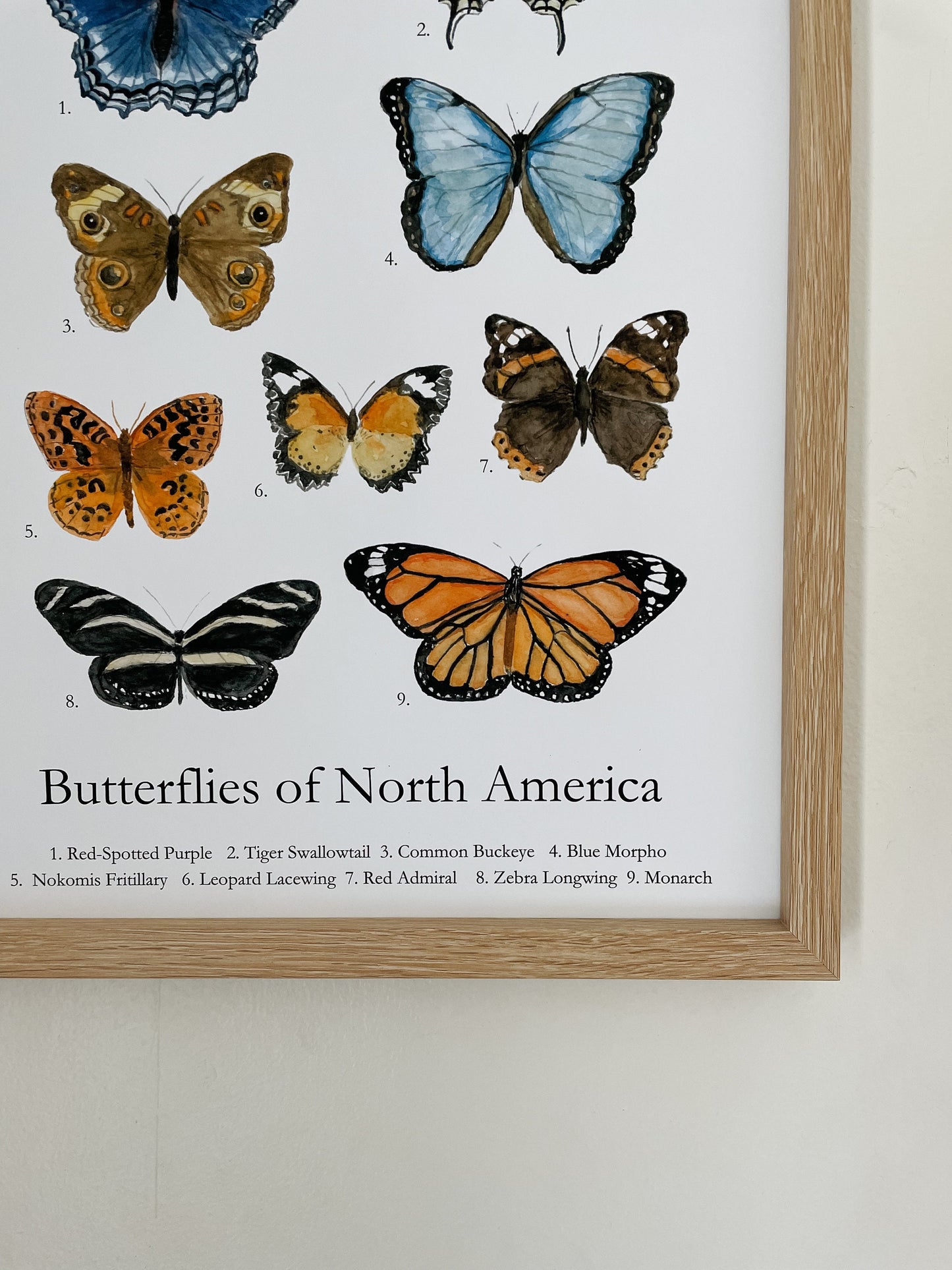 Animal's of North America Poster | Homeschool Print | Nature Study | Woodland Nursery Decor | nature print | Woodland Animal Nature Art