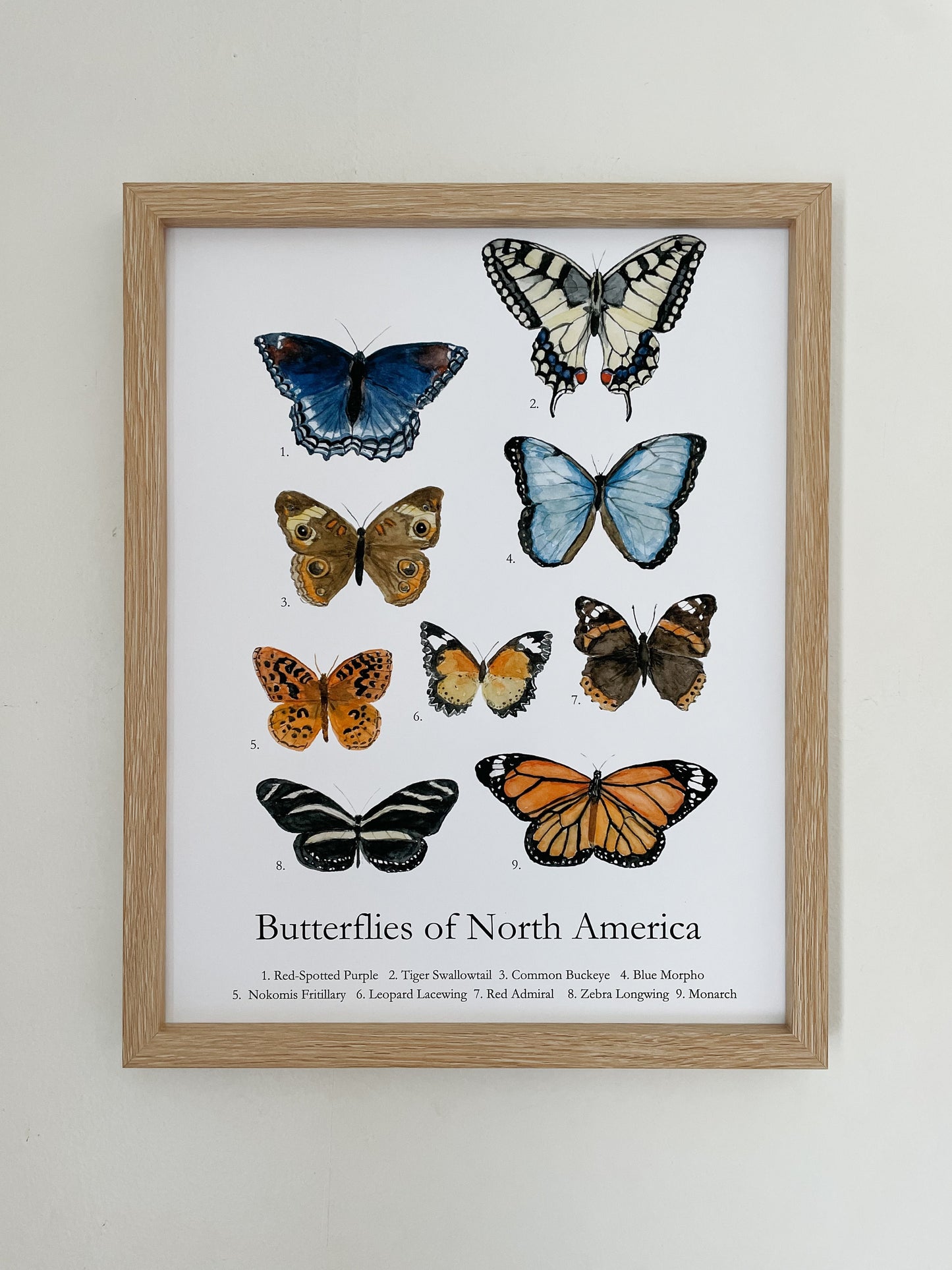 Animal's of North America Poster | Homeschool Print | Nature Study | Woodland Nursery Decor | nature print | Woodland Animal Nature Art