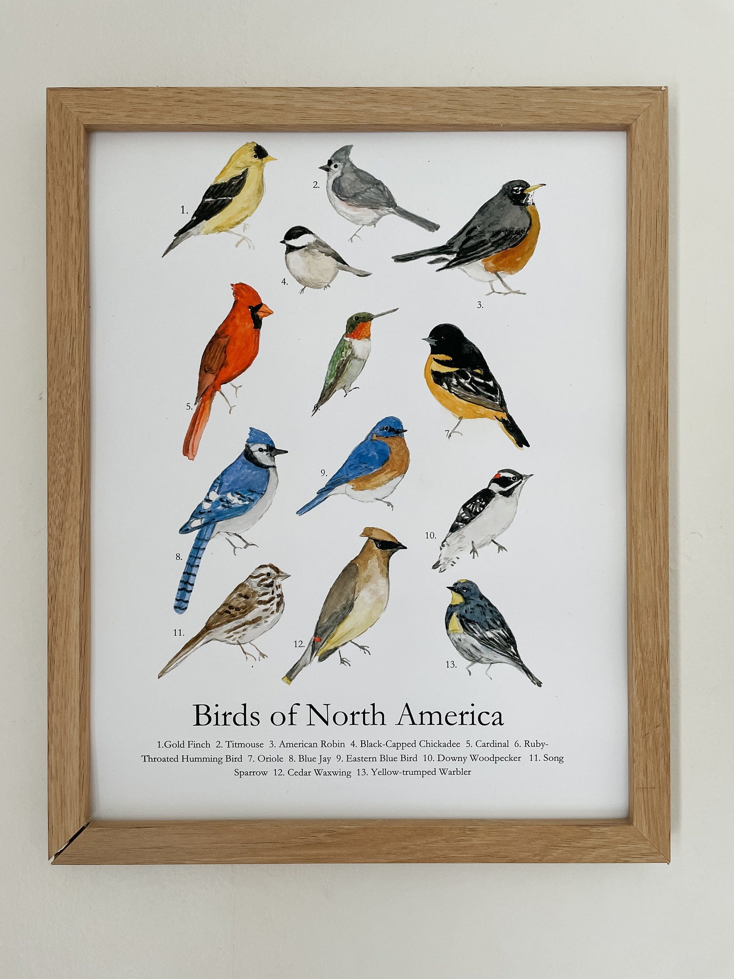 North American Bird Poster | Backyard Birds of North America Poster | Watercolor Birds | Nursery Wall Art | Play room Decor |