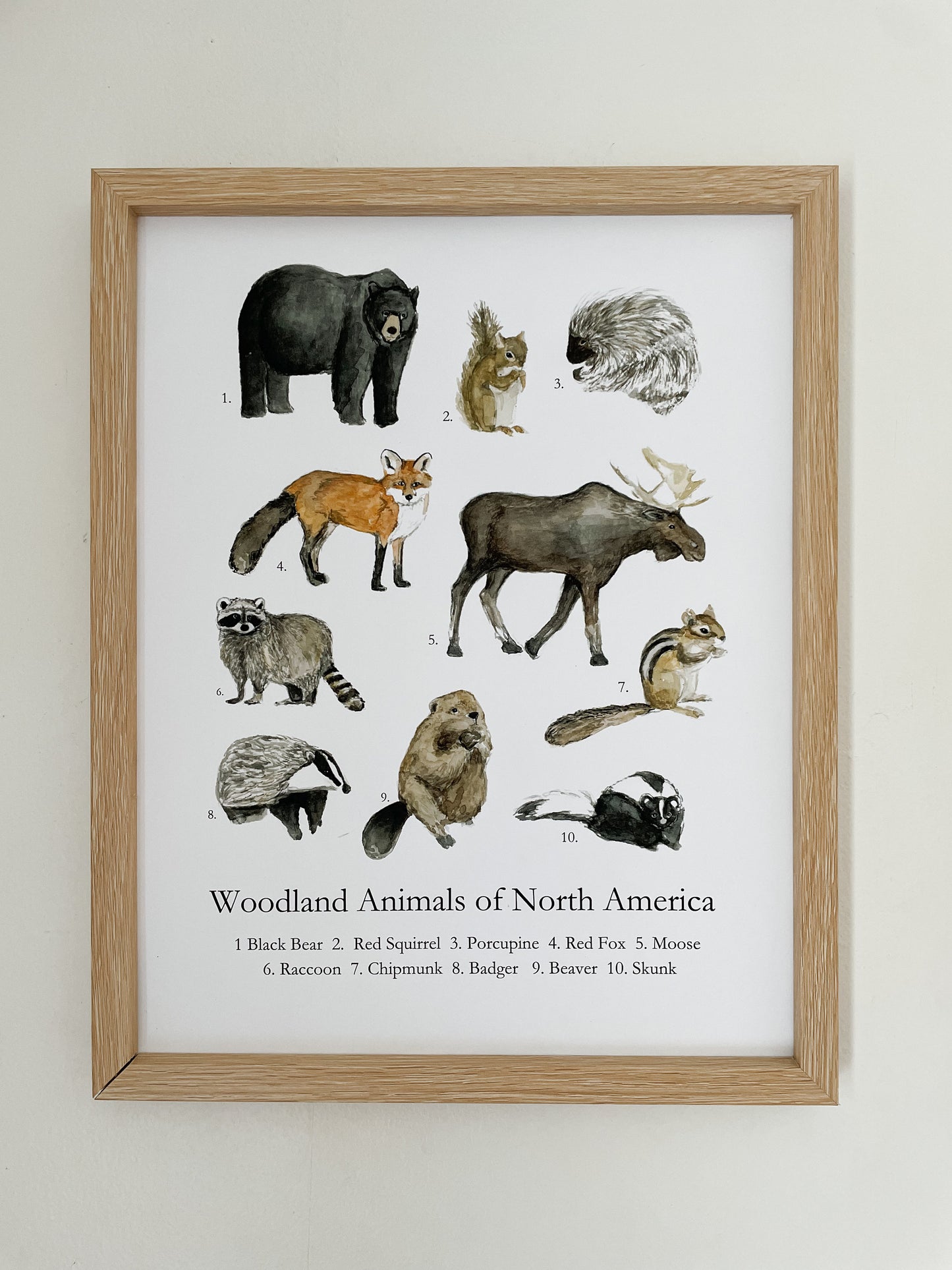 Animal's of North America Poster | Homeschool Print | Nature Study | Woodland Nursery Decor | nature print | Woodland Animal Nature Art