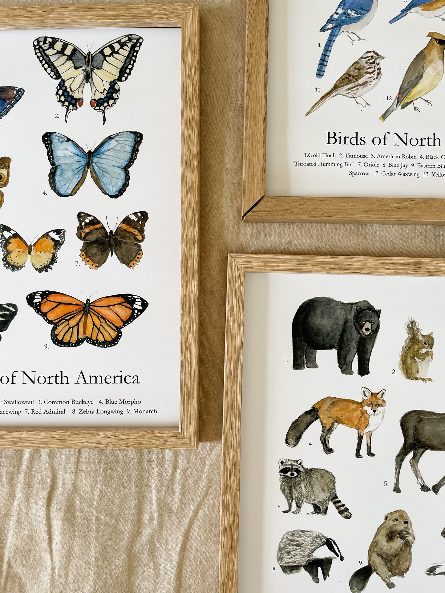 Animal's of North America Poster | Homeschool Print | Nature Study | Woodland Nursery Decor | nature print | Woodland Animal Nature Art