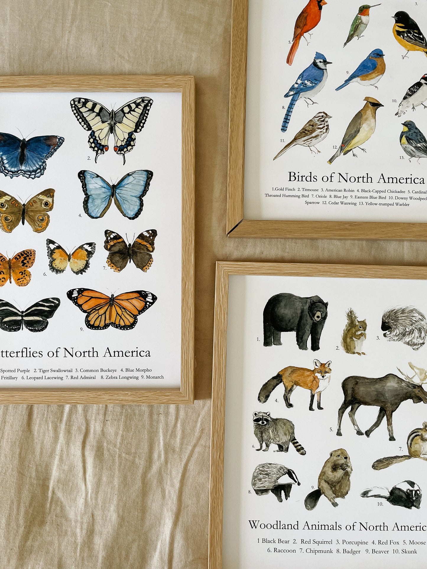 Animal's of North America Poster | Homeschool Print | Nature Study | Woodland Nursery Decor | nature print | Woodland Animal Nature Art